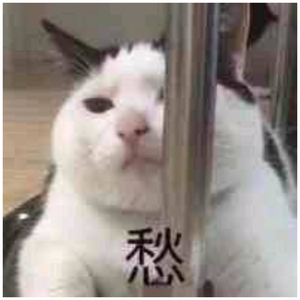 少妇一级婬片A片黑豹
