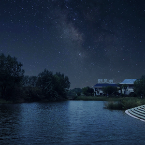 少妇一级婬片A片黑豹
